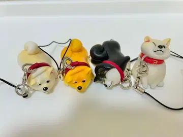 거부견 스트랩 가챠가챠