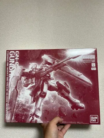 MG 1/100 건담 듀나메스 (트랜잠 모드) 글로스 인젝션