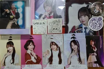 타카네노 나데시코 히나타 하타 히나 굿즈 세트