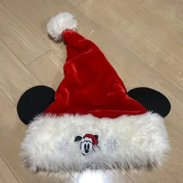 디즈니 팬 캡 2017