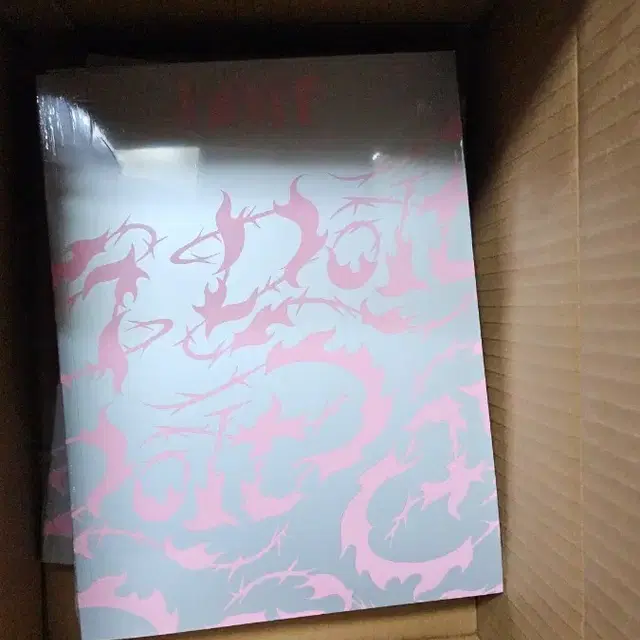 스키즈 두잇 앨범 일반반 잇버전 10장