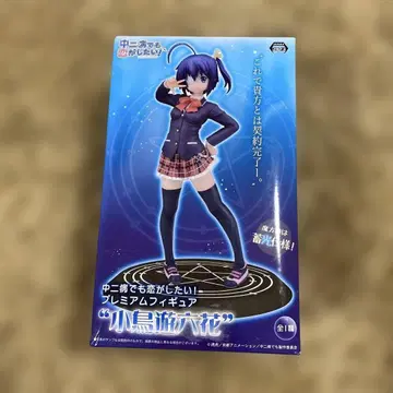 중2병이라도 사랑이 하고 싶어! 프리미엄 피규어 타카나시 릿카