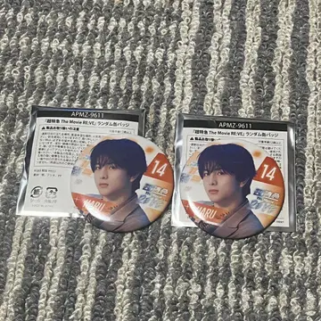 초특급 RE:VE 캔뱃지 하루 군 2세트