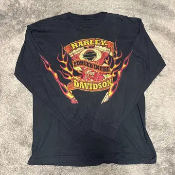 할리데이비슨 롱T 프레임