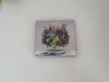 Mrs. GREEN APPLE [ 5 ] 초회 한정판 CD+DVD