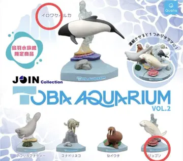 가챠 토바 수족관 이로와케돌고래 듀공 Qualia 토바 아쿠아리움