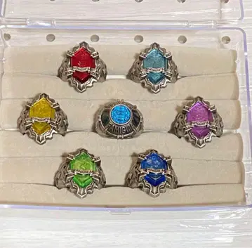 가정교사 히트맨 REBORN! 뉴 봉고레 반지 컴플리트