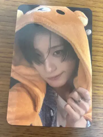 XLOV 하루 영통 혜택 트레이딩 카드