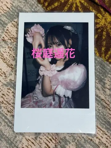 CUTIESTREET 벚꽃바니 하루카 폴라로이드 대혜택회