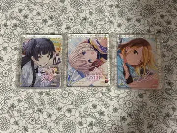 스트레이라이트 코롯타