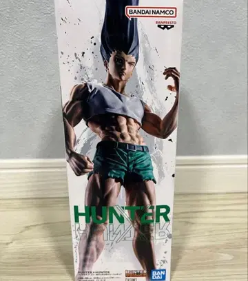 헌터헌터 피그라이프 곤 씨 상자 없음