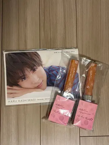 초특급 하루 응원봉 Rail is beautiful 달력