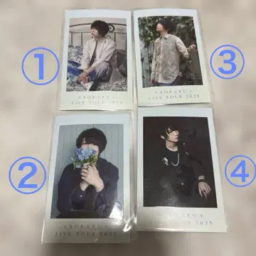 소라루 유메유이 폴라로이드