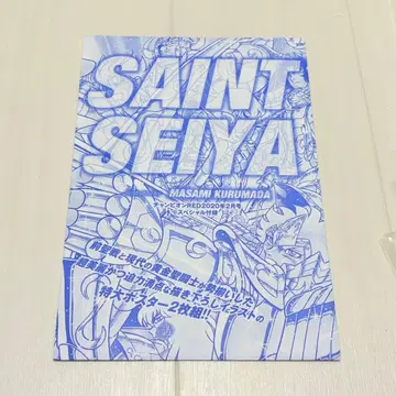 황금 성투사 빅 포스터 세인트 세이야