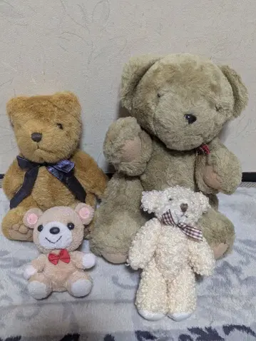 곰 봉제 인형 세트