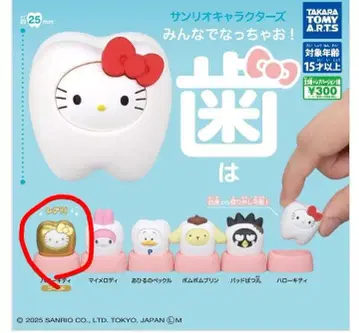 산리오 모두 함께 되자! 치아 레어