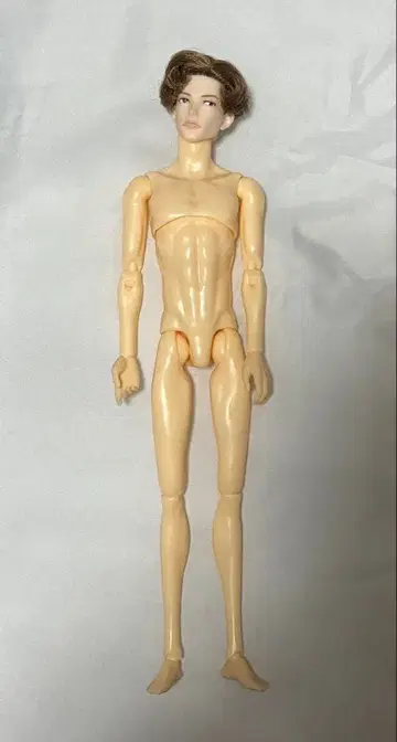 6분의 1 남자 도감 서점의 나인 아웃핏 없음 본체만 새상품급