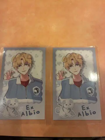 엑스 알비오 와니얀 Days Vol.2 랜덤 폴라로이드풍 카드