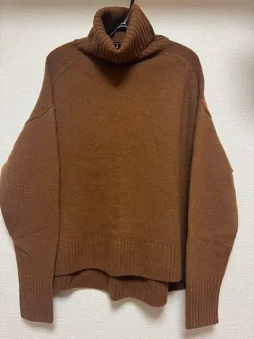 이에나 터틀 니트