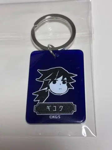 컬러 참 컬렉션 기유 토미오카 기유