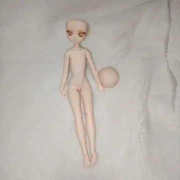 오비츠 m01 커스텀 헤드 + 오비츠 바디