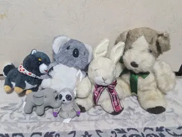 귀여운 봉제 인형 세트