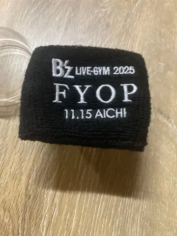 B'z LIVE-GYM 2025 FYOP 리스트 밴드 아이치