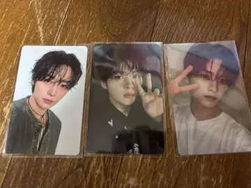 리노 트레카세트