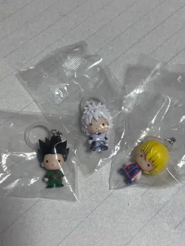 HUNTER x HUNTER 메지루시 참