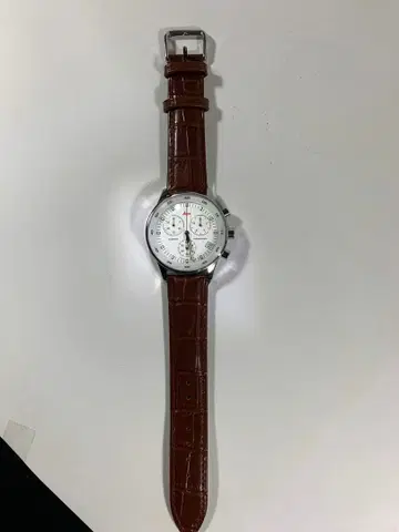 라이카 크로노그래프 손목시계