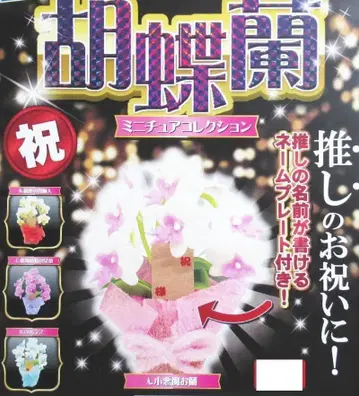 최애 피규어와 함께 장식되는 미니어처 팔레놉시스 전 4종