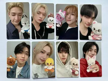 스키즈 트레이딩 카드 8장 세트 컴플리트