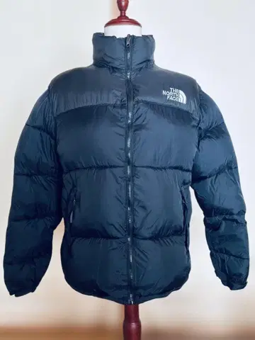 THE NORTH FACE 눕시 블랙 700