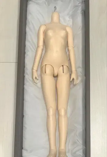 슈퍼돌피 SD 오리진 바디 여아 페어