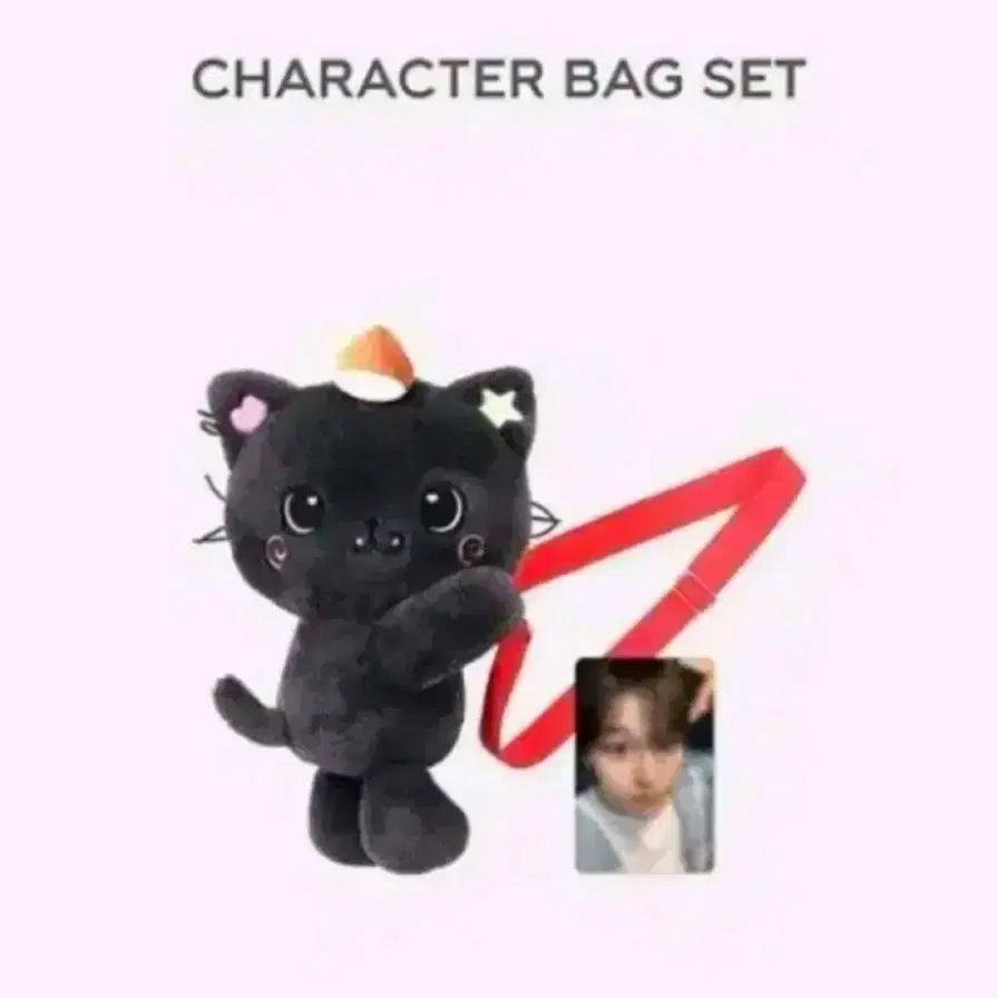 NCT WISH LOGIN キャラクターバッグ リク RIKU トレカ付き NCT WISH ASIA TOUR LOG in SEOUL MD CHARACTER BAG SET 2025 RIKU ver