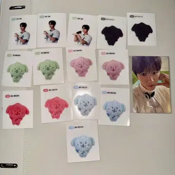 NCT WISH COLOR 재희 덴트리버 스티커