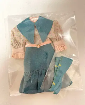 체리짱 로지느 아웃핏