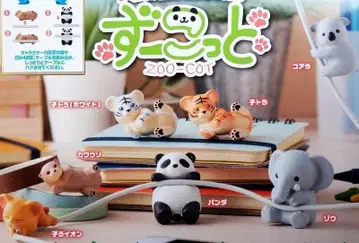 동물원 인기쟁이 하그코트 즈코트 전 7종