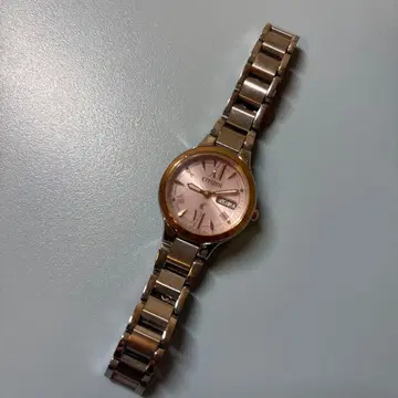 Citizen 크로스 씨 에코 드라이브