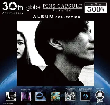 컴프 globe 핀즈 캡슐 ALBUM COLLECTION