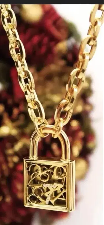 bless 넘버 패드락 자물쇠 골드 목걸이