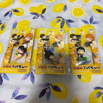 하이큐!! 지역 한정 비즈 스트랩 카게야마 토비오