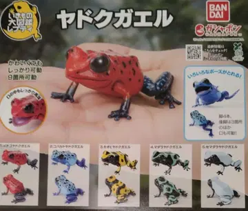 생물대도감 독개구리 가챠 전 5종 세트