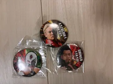 오카다 카즈치카, 타카기 신코, BUSHI 캔뱃지