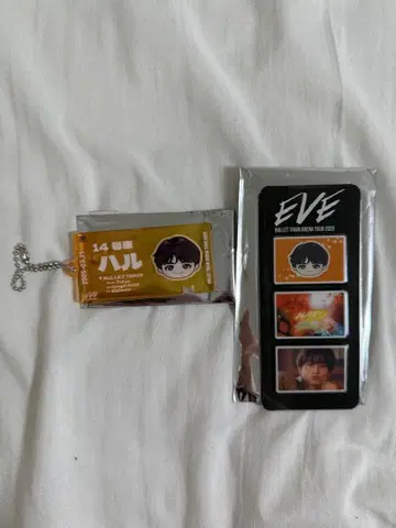 초특급 하루 티켓 키링 사진 그레이 부품