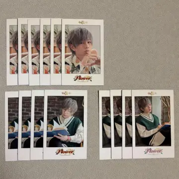 우라시마사카타센 우라타누키 타누완 폴라로이드