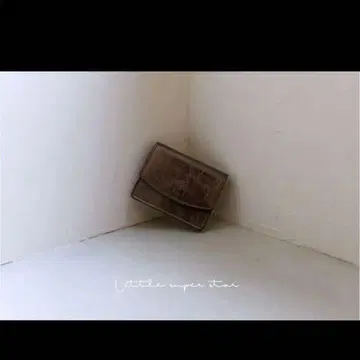 LSS 미니 월렛 브라운