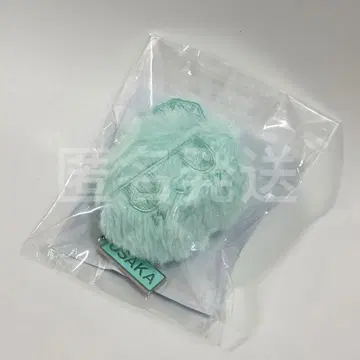 SEVENTEEN NEW_ 봉봉이 키링 오사카