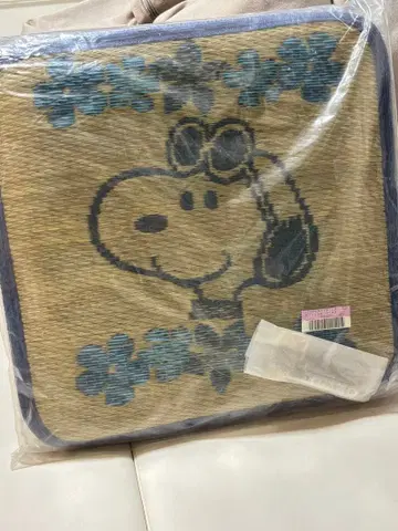 스누피 이그사 방석 손톱깎이 세트