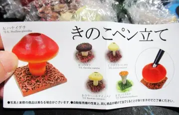 리얼한 버섯 펜꽂이 버섯 펜꽂이 전 5종